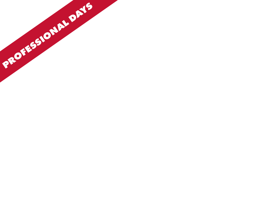 Overlay flag